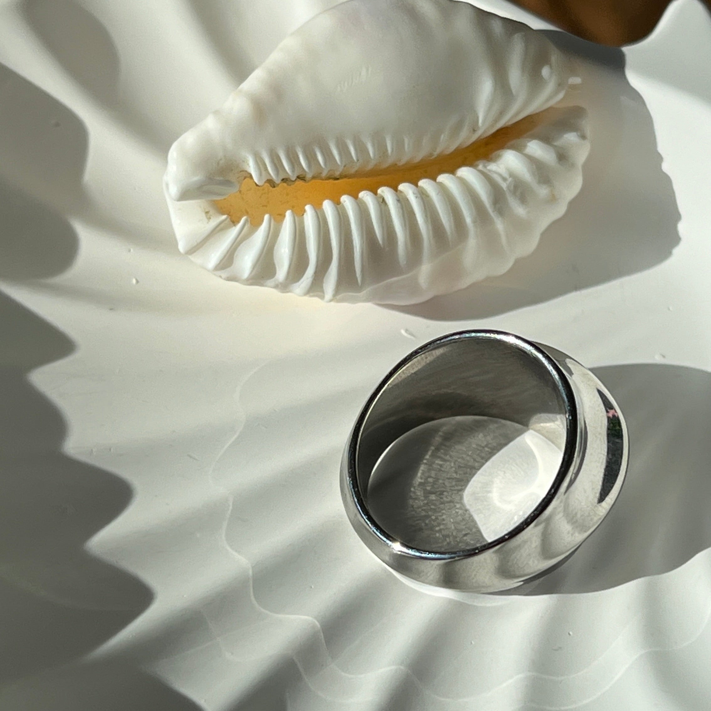 Fashionable dome ring in PVD-coated 925 silver-plated stainless steel resting on a white shell-shaped dish in natural light