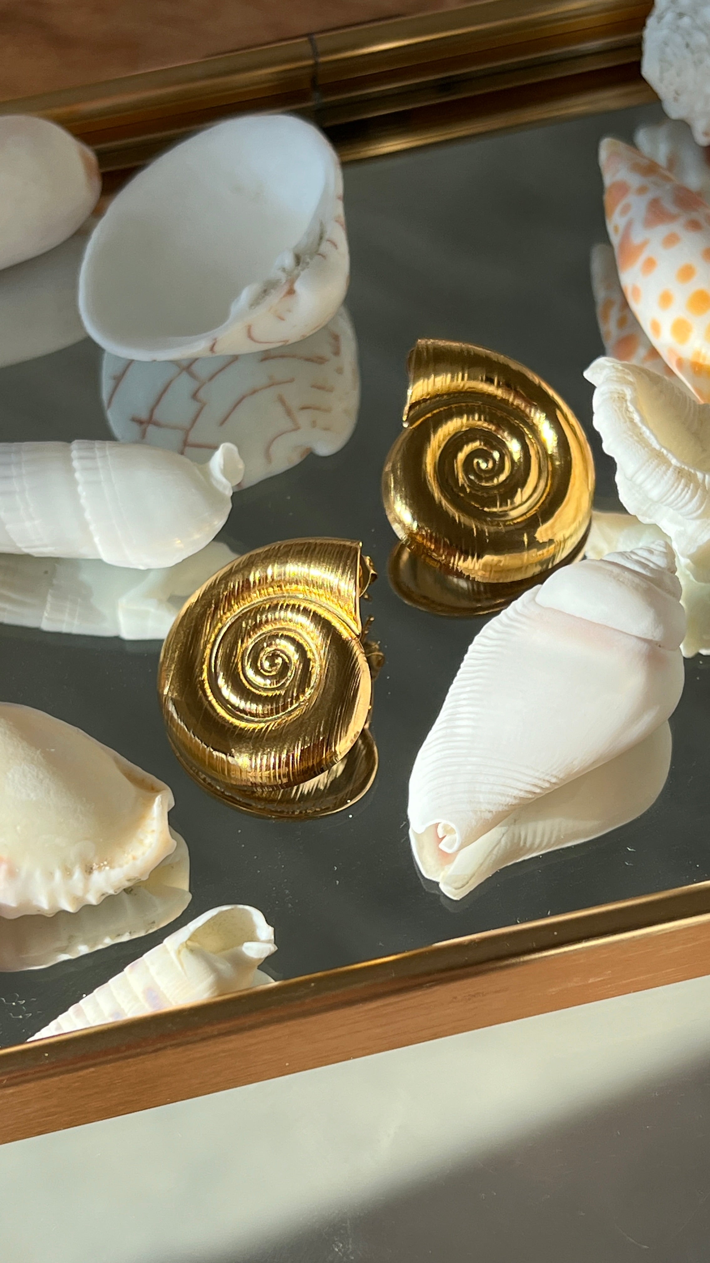 Summer Must-have shell Drop Earrings gilded in 18-Carat Gold